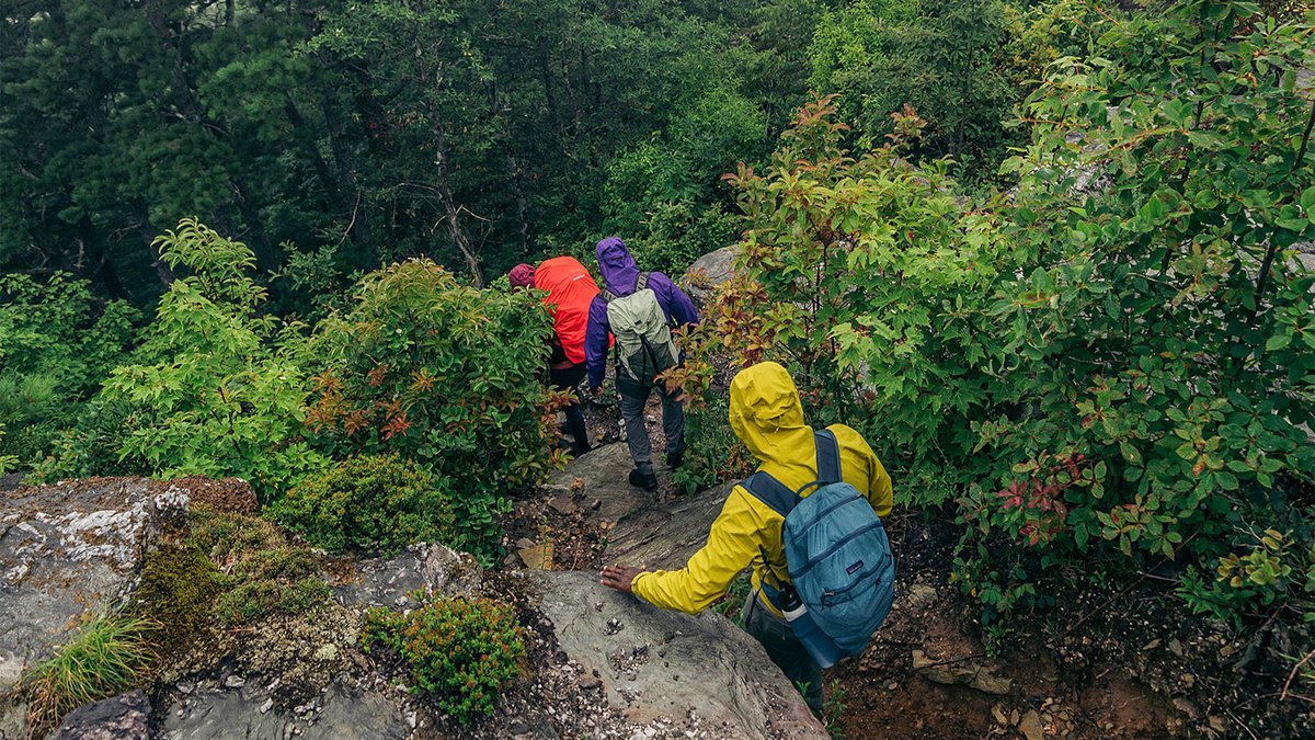 3 hikers wearing the Torrentshell 3L Jacket descend down a steep forest path.