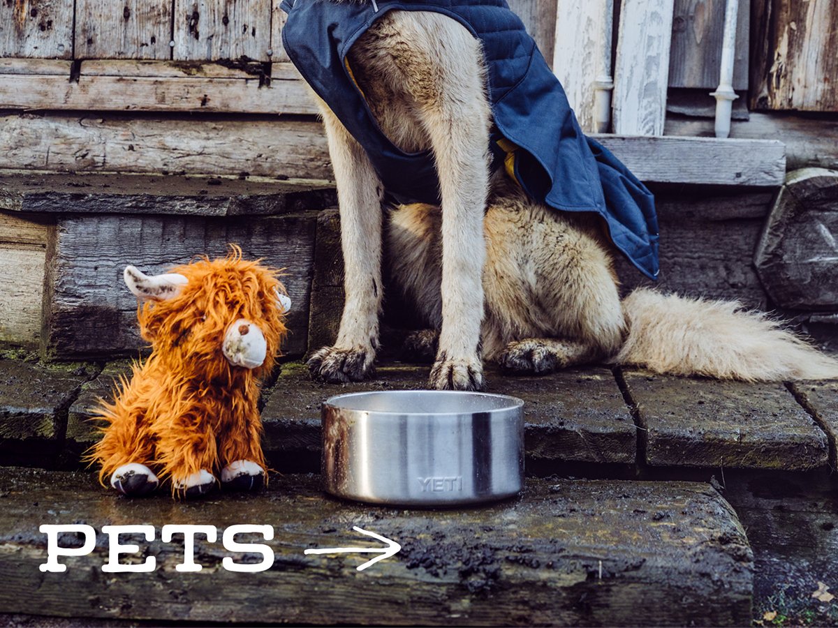 Dog in a quilted jacket sitting on wooden steps beside a steel water bowl and a plush highland cow toy: “Pets.”