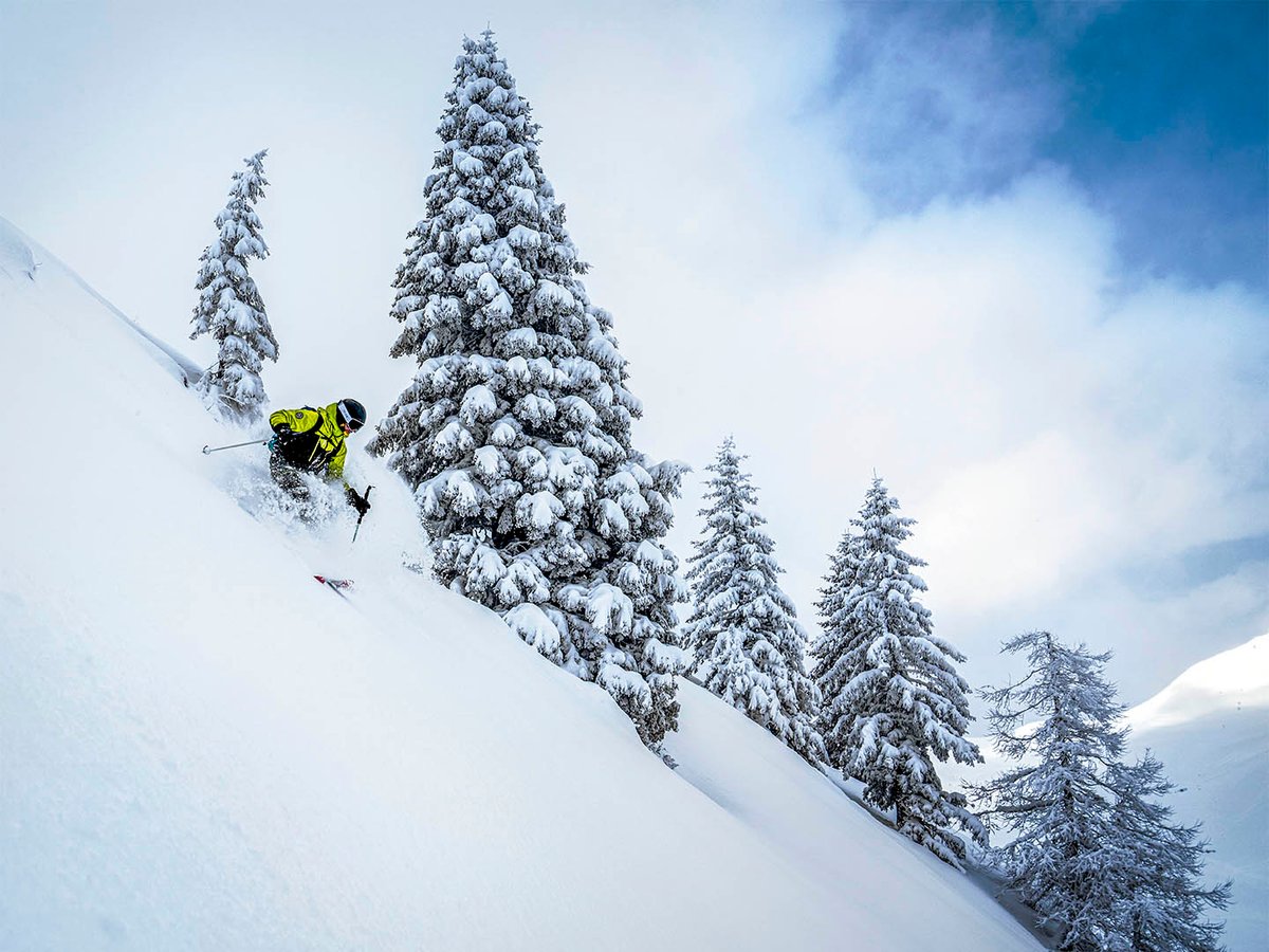Backcountry skier carving deep powder line with snow-covered evergreens and partial blue sky