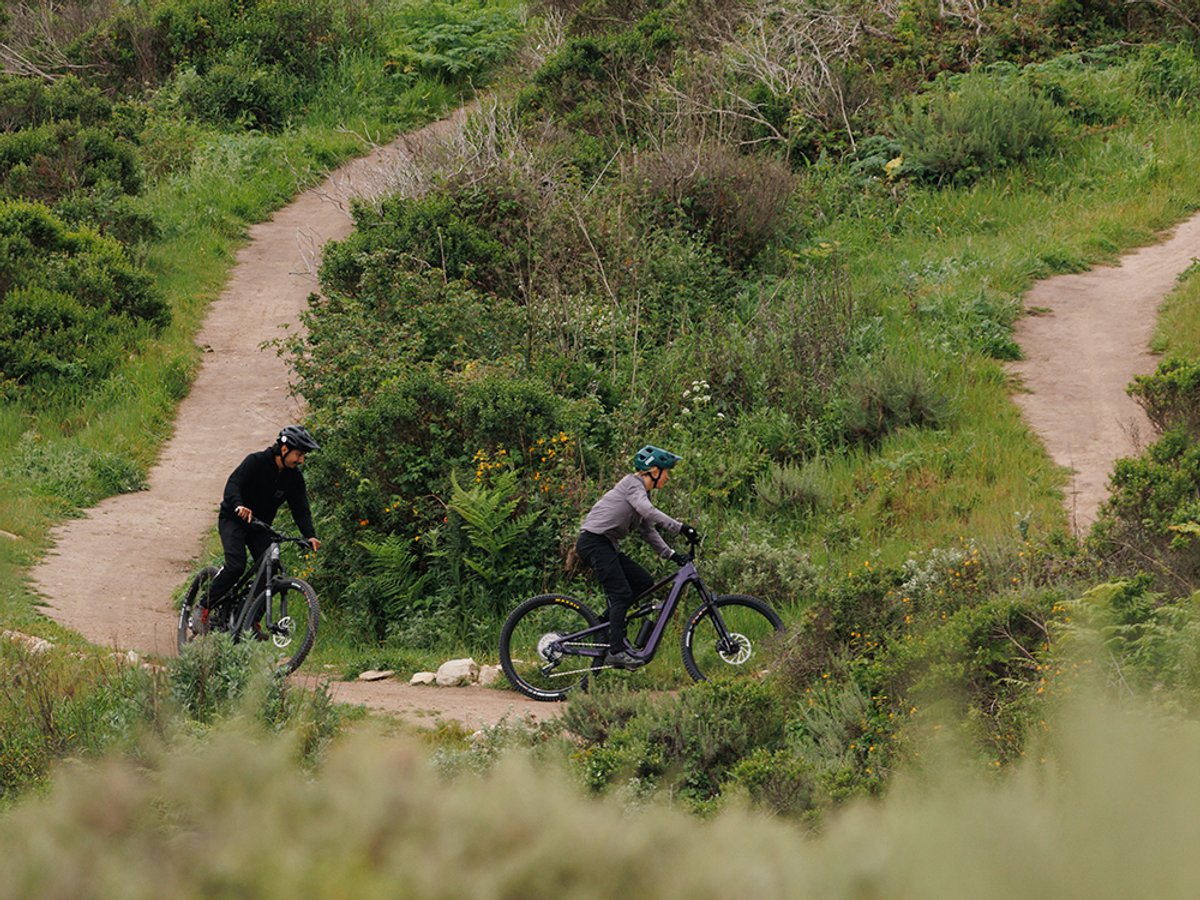 Two mountain bikers riding full-suspension eMTBs along winding dirt singletrack surrounded by dense summer foliage and wildflowers.