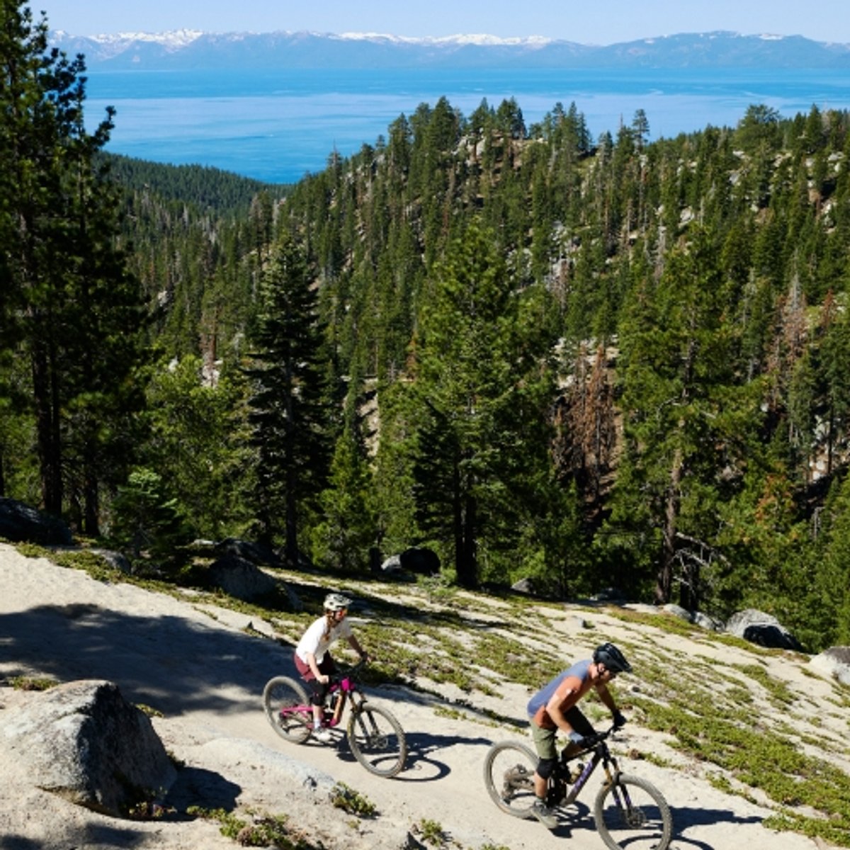 Gearhead's® Guide To Mountain Biking Lake Tahoe