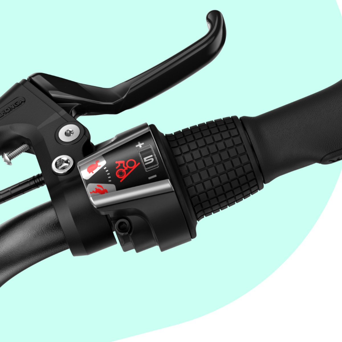 Detail shot of the gear shifter indicator showing a tortoise and hare at opposite end for easy understanding.