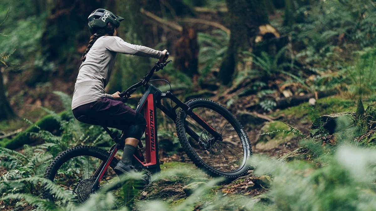 Rider seated riding mountain bike through forested trail.