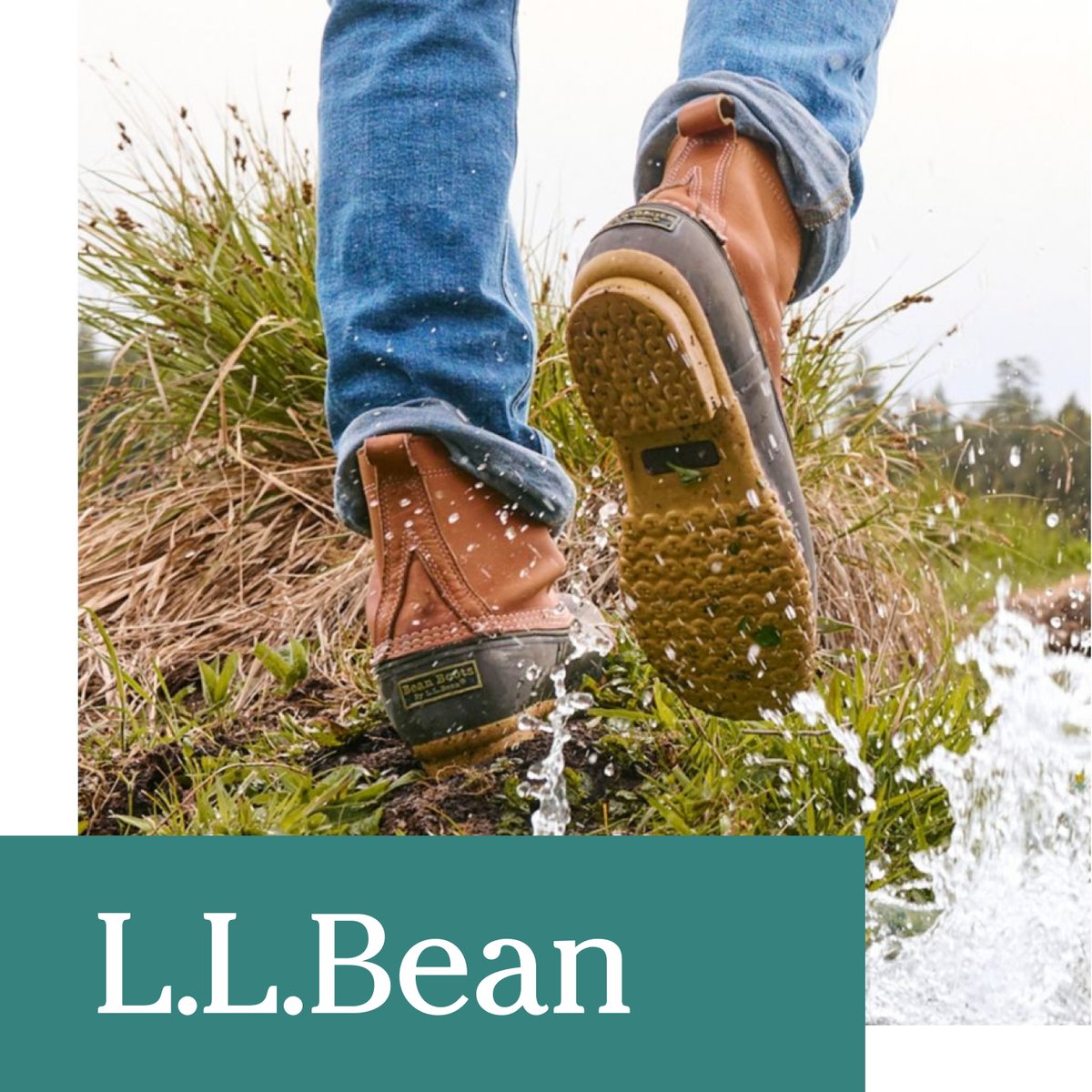 L.L.Bean