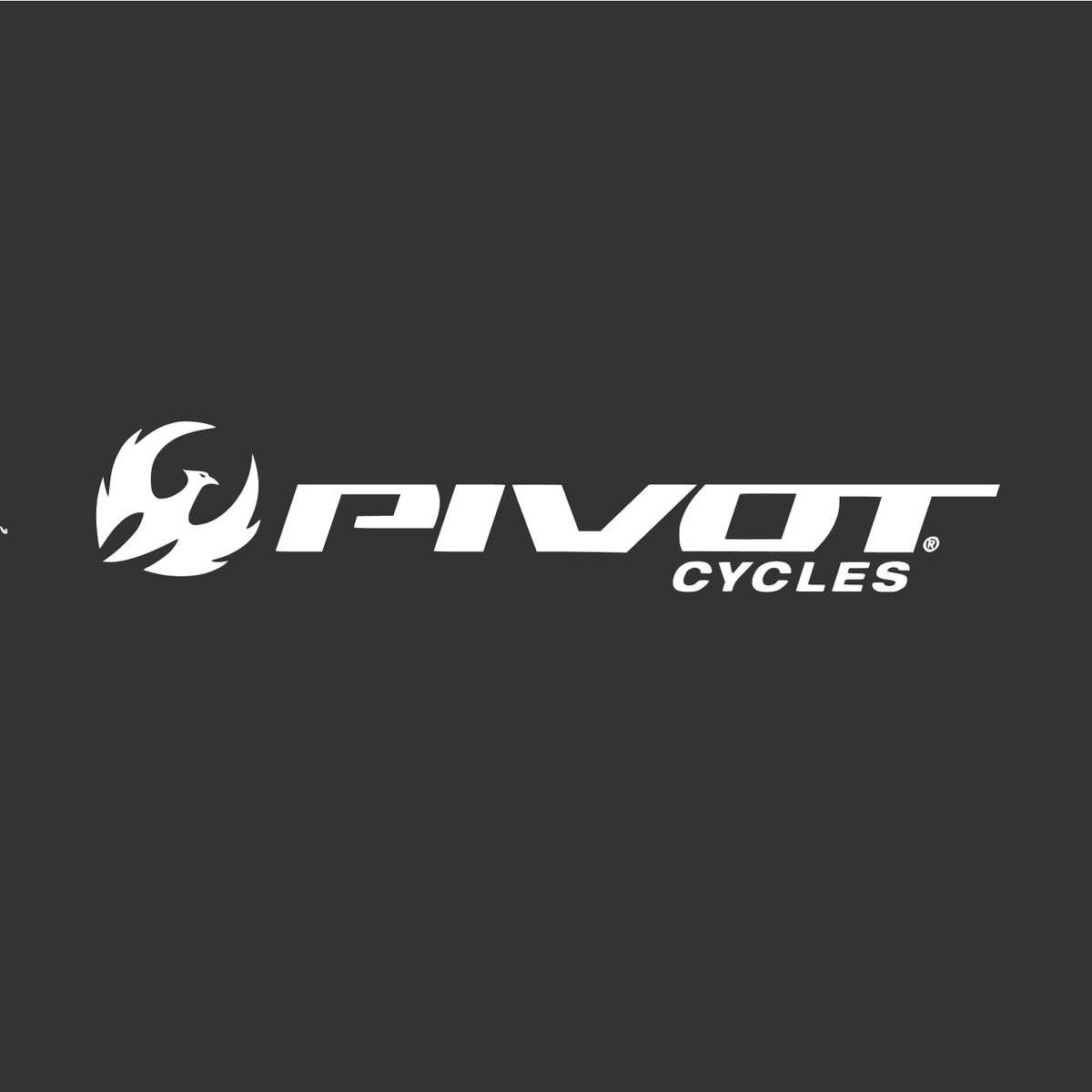 Pivot Cycles