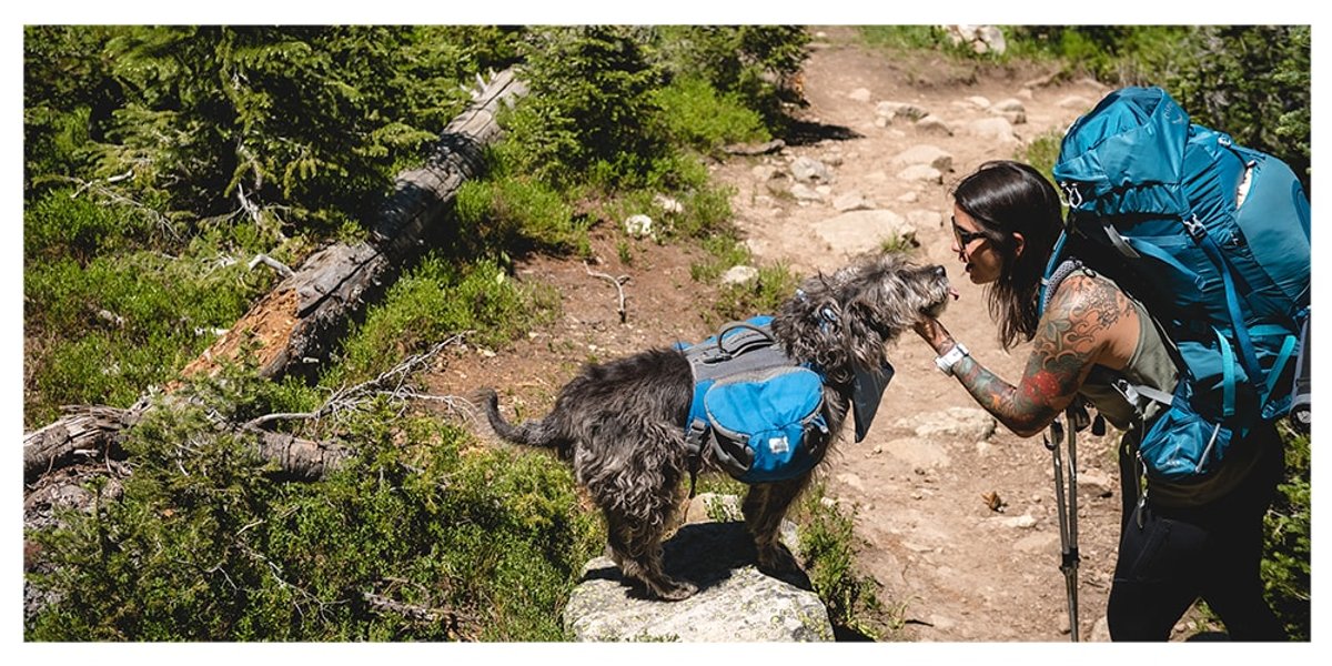 Dog Camping Besos