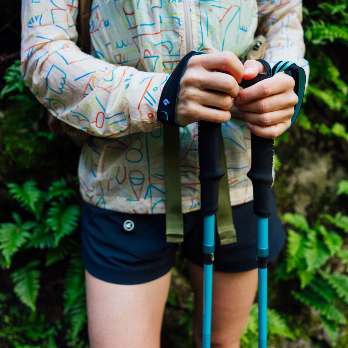 Trekking Poles
