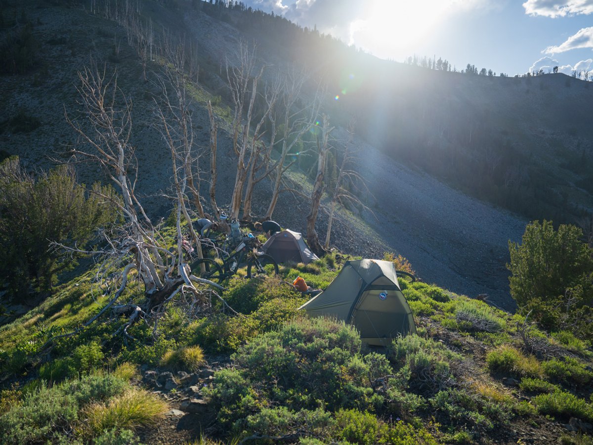 A group of bikepackers stop for the day, pitching their tents on a wooded hill. 
