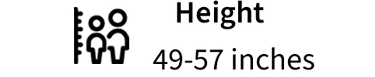 icon showing height of kids.