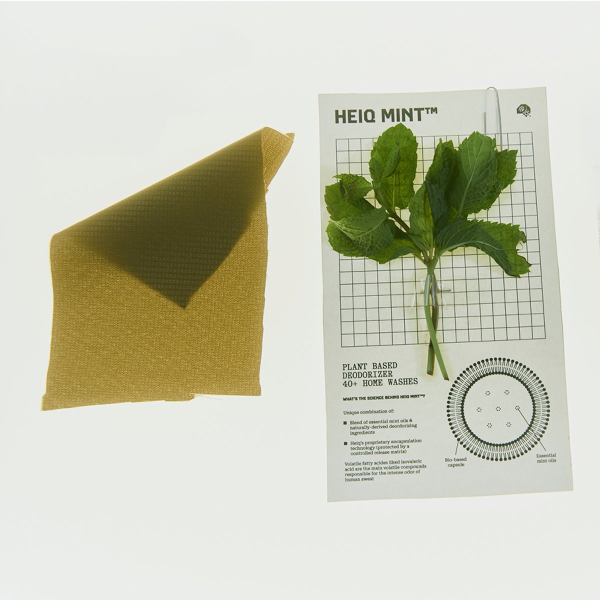 A closeup of a mint sprig, fabric swatch, and paper with the words "HeiQ Mint" on it.