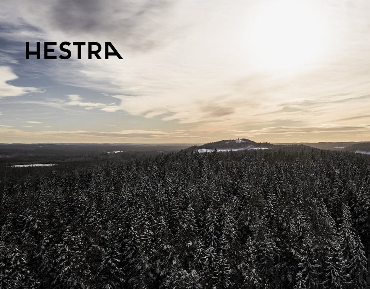 A vast, high-angle view of a dense evergreen forest covered in a light dusting of snow under a hazy, late-afternoon sun, with the Hestra logo in the top left corner.