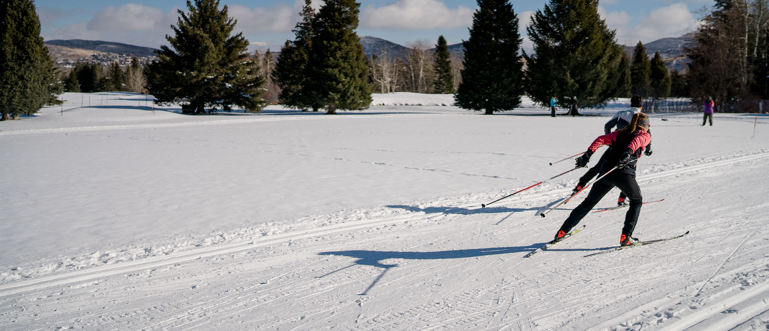How to Choose Cross-Country Skis Backcountry