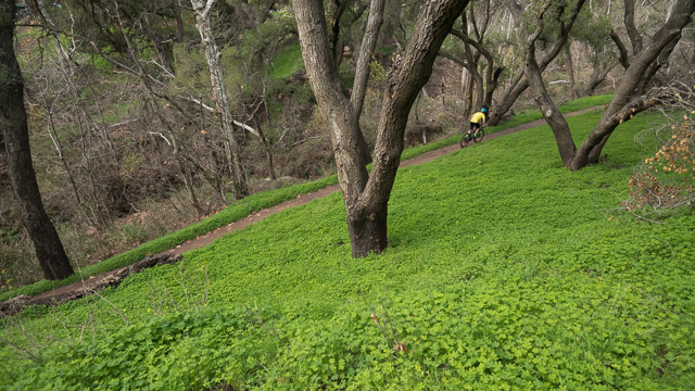 Santa Cruz Tallboy on trails