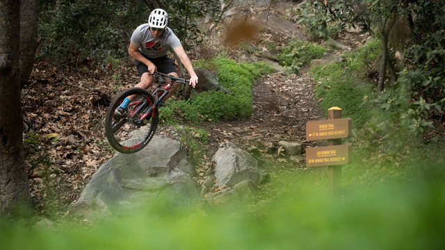 Getting wild on a Santa Cruz